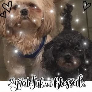 Meet your Posher, Deborah